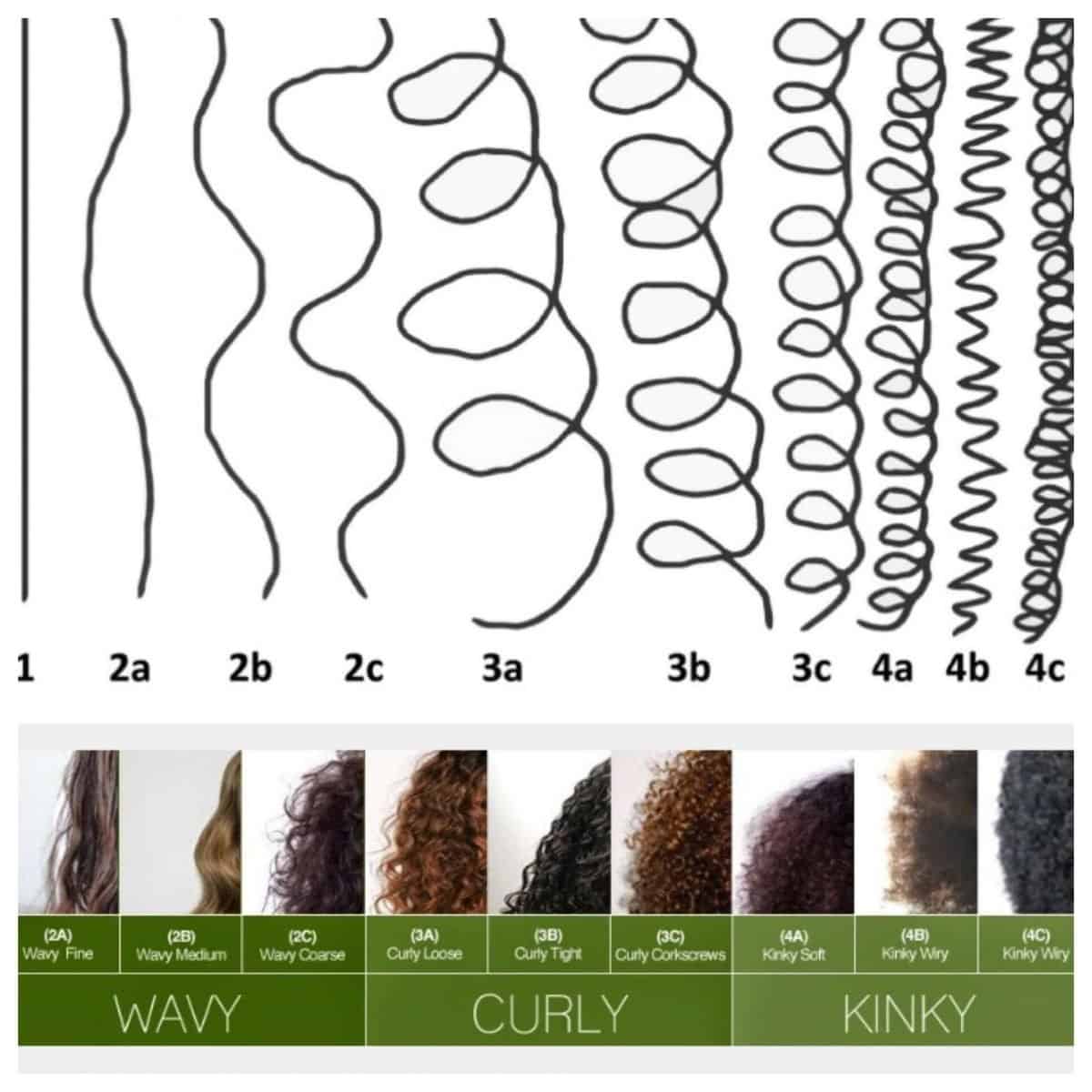 Curl Types Chart Men